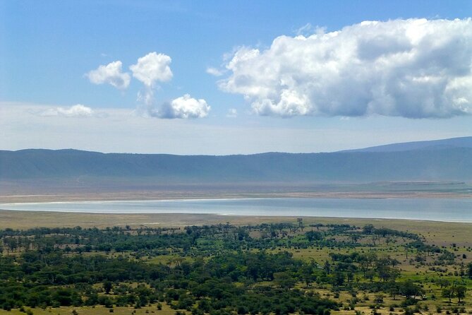 4 Days 3 Night Luxury Safari to Tarangire,Ngorongoro,Lake Manyara - Safari Highlights