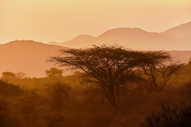 4 Days 3 Nights Masai Mara Standard Safari