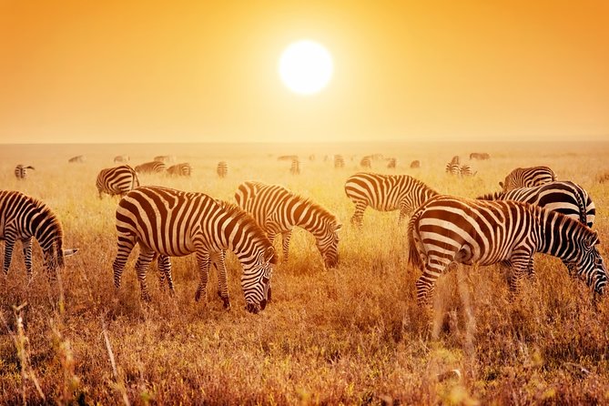 4 Days 3 Nights Serengeti National Park Tanzania Safari - Included Amenities