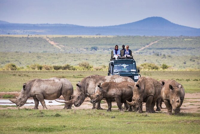 4 Days Aberdare and Samburu Safari on 4x4 Land Cruiser Jeep - Pickup Logistics