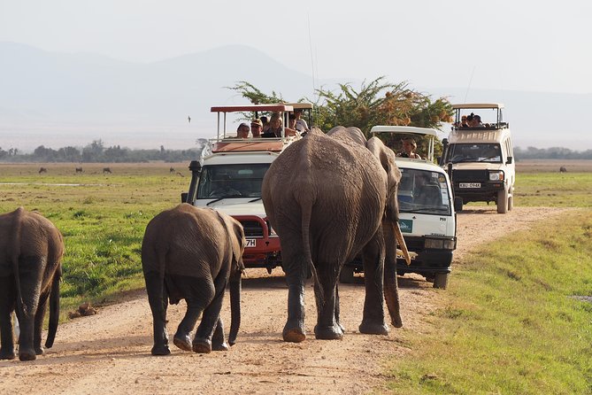 4 Days Amboseli, Tsavo West Tsavo East Luxury Safari (MINIMUM 2 PAX) - Inclusions and Exclusions