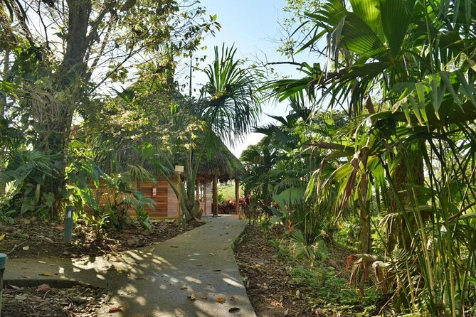 4 Days Archidona Amazon and Kiwcha Community Tour - Accommodation and Meals