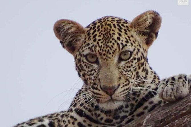 4 Days Best of Kenya Safaris From Watamu - Day 1: Malindi National Park