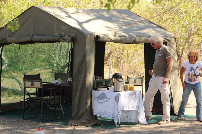 4 Days Central Kalahari Camping Safari Experience - Wildlife Encounters