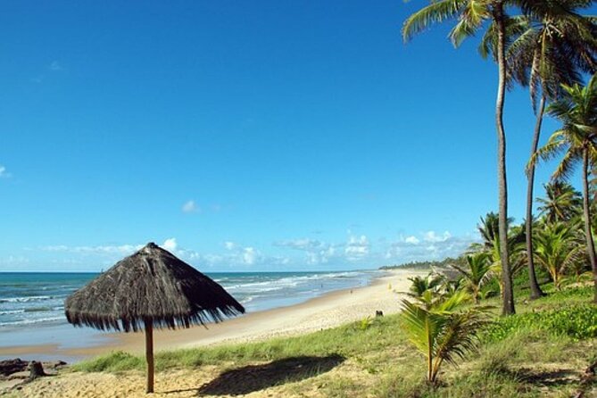 4-Days Experience at Salvador De Bahia, Savour the Cultural Fusion - Brasil - Cultural Immersion Activities