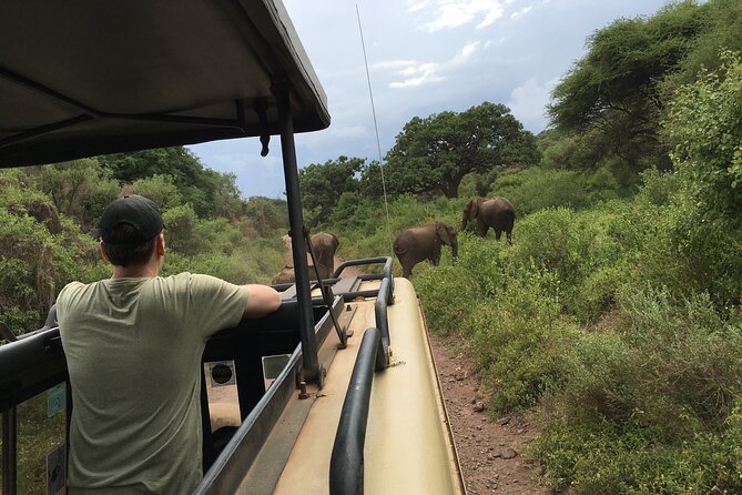 4 Days Join Group Tour Tarangire Serengeti and Ngorongoro Crater