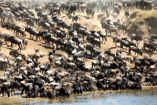 4 Days Masai Mara 4x4 Jeep Lodge Safari - Transportation and Accommodation Information