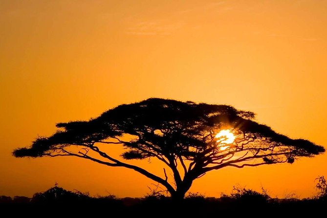 4 Days Masai Mara and Lake Nakuru - Tour Itinerary Overview