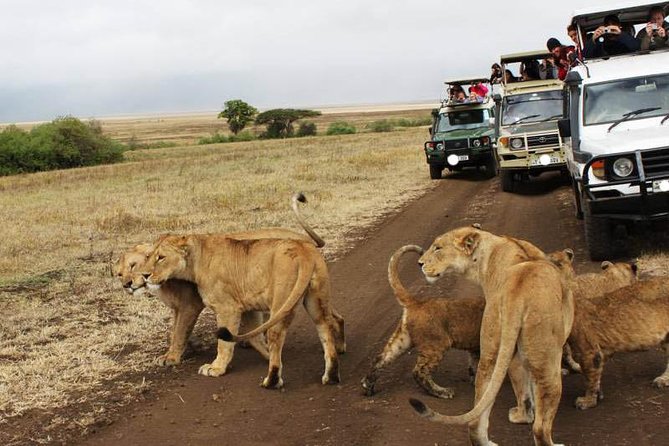 4 Days Masai Mara Lodge Safari on 4x4 Land Cruiser Jeep - Meals Included