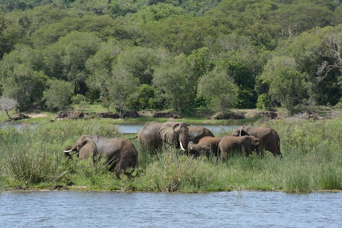 4 Days Murchison Falls National Park Tour - Pickup and Departure Details