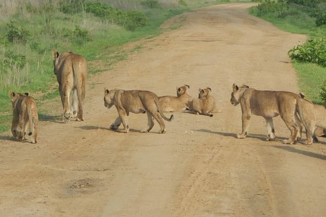 4 Days Nyerere (Selous) - Accommodation Options
