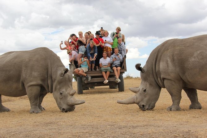 4 Days Ol Pejeta & Samburu National Reserve Safari