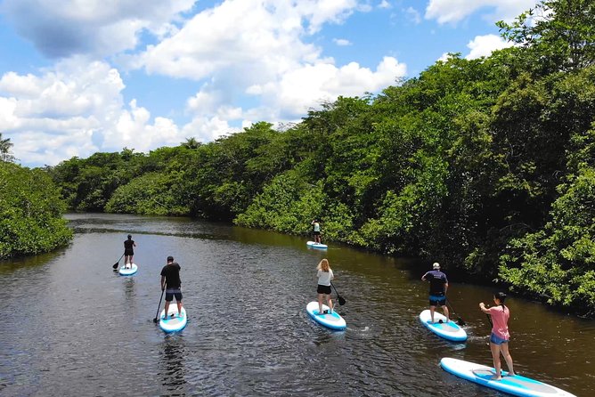 4 Days Paddle Boarding in the Cuyabeno Reserve - Accommodations and Amenities