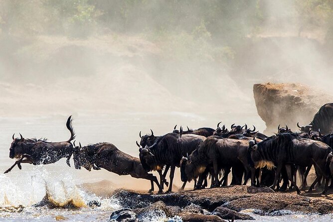 4 Days Private Guided Tour to Serengeti and Ngorongoro & Safari - Accommodation Details
