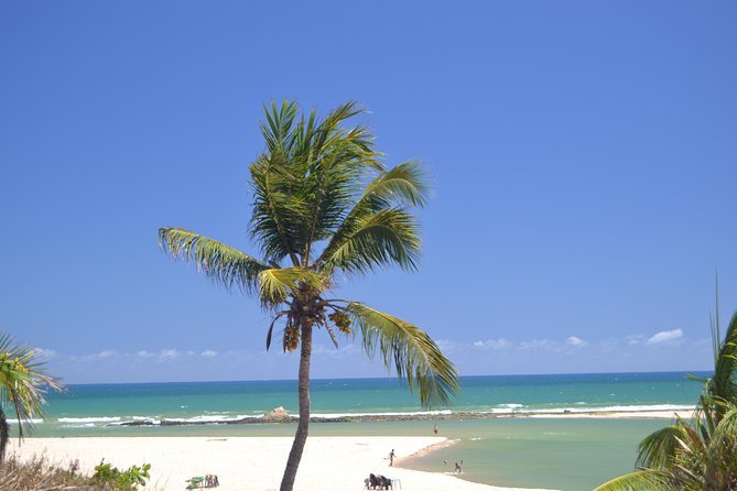 4 Days Salvador and Beach Tour Vacation With Hotel - Included Activities