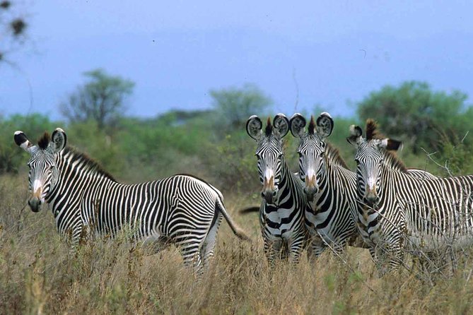 4 Days Samburu and Meru National Reserve - Meeting and Pickup Details