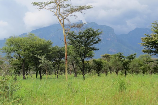 4 Days Sipi Tour - Accommodation Details