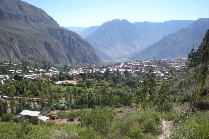 4-Days Tour to Cotahuasi Canyon in Arequipa - Transportation and Guides
