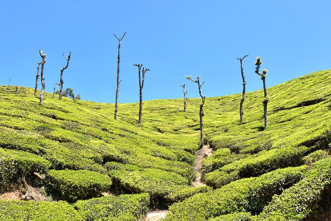4 Days Village Exploration in Kerala ! - Village Activities Schedule