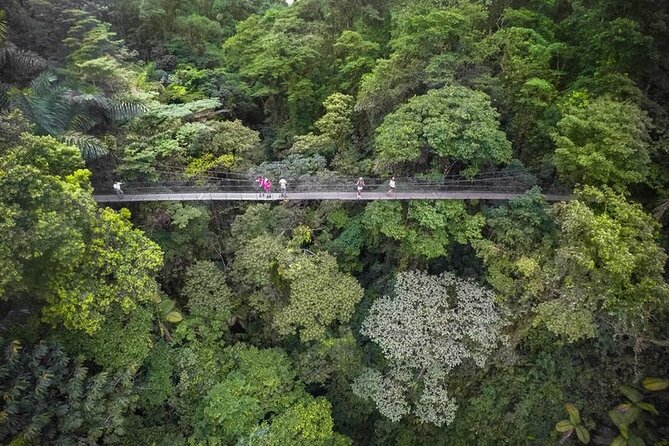4-in-1 Arenal Hanging Bridges, La Fortuna Waterfall, Volcano Hike & Hot Springs - Tour Inclusions