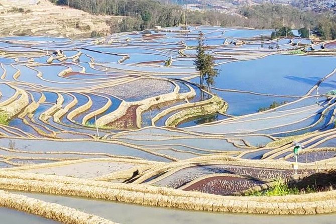 4days Private Tour Stone Forest Yuanyang Terrace Jianshui Old Town From Kunming - Destinations Covered