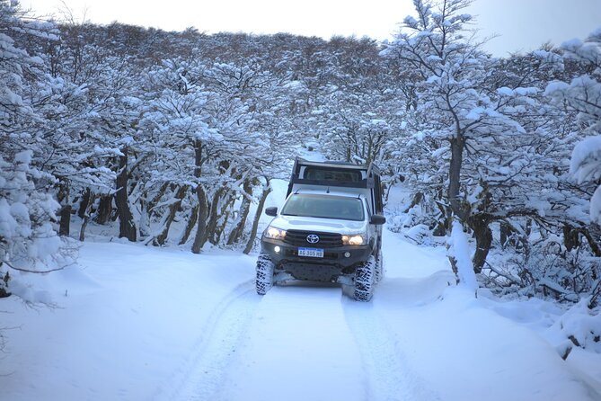4×4 in Cerro Frías