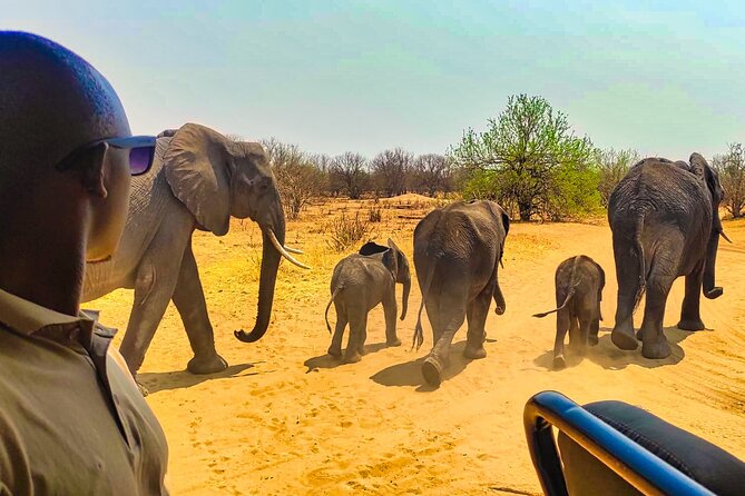 4×4 Safari in Victoria Falls National Park *Small Group-Limited*