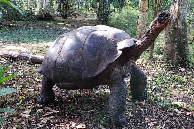 5-Day Galapagos Island Hopping Tour: 3 Islands Experience - Included Accommodations