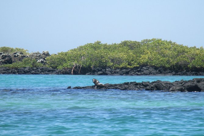 5-Day Galapagos Island Hopping Tour - Santa Cruz & Surroundings - Itinerary Highlights