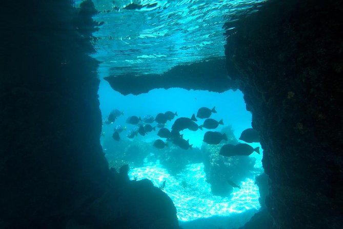 5-Day Galapagos MultiAdventure Diving and Hiking - Pricing Details