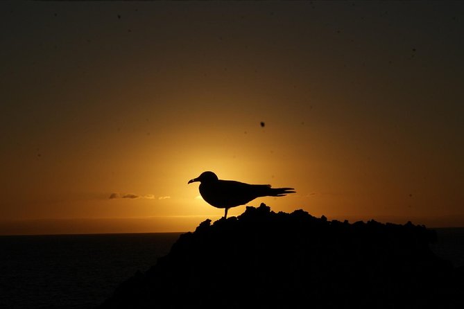 5-Day Galapagos Multisport Tour -Snorkel, Kayak & Hikes - Santa Cruz & Isabela - Itinerary Highlights