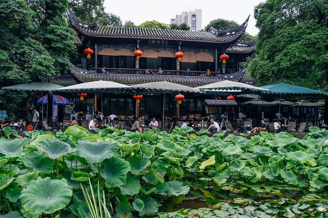 5 Day Natural Panda Paradise Tour in Chengdu - Itinerary Overview