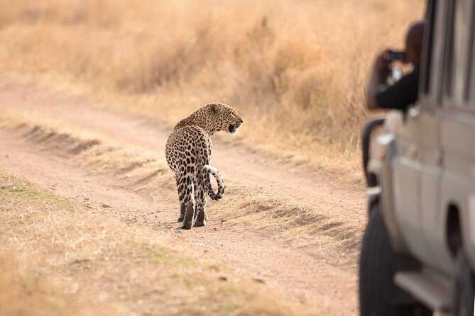 5-Day Private Camping Tour to Serengeti, Ngorongoro & Tarangire - Meals and Dining Options