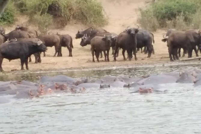 5 Day Private Kidepo Valley Park Safari in Uganda - Itinerary Overview