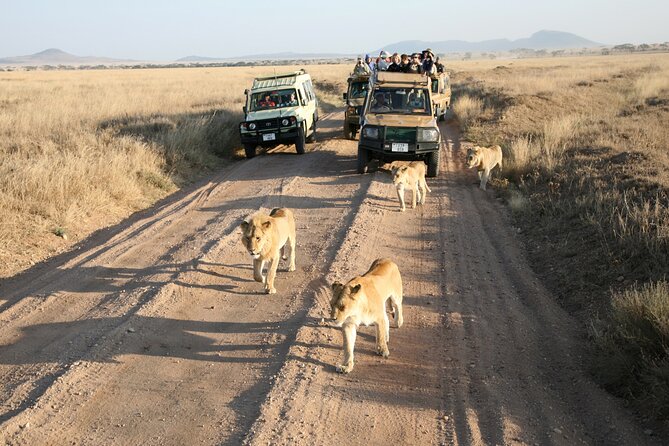 5-Day Safari Tour With Kilimanjaro Day Hiking in Tanzania - Day 2: Exploring Serengeti National Park