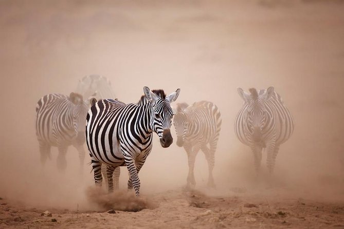 5 Days Dream of Africa Safari Adventure - Itinerary Details
