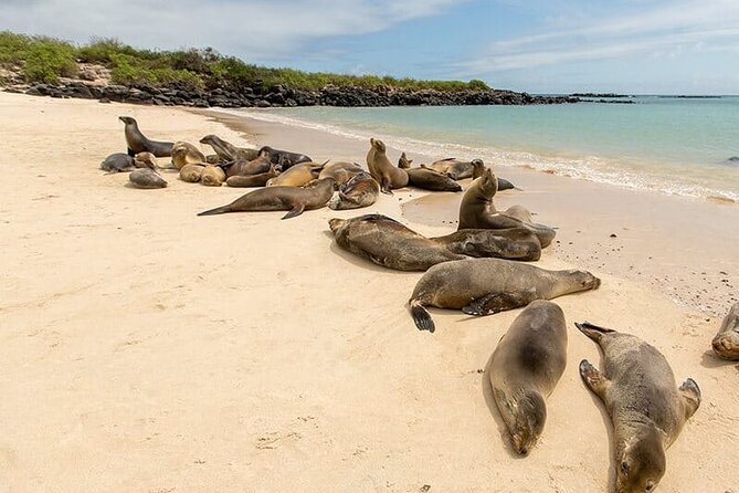 5 Days Galapagos Wildlife Discovery - Frequently Asked Questions