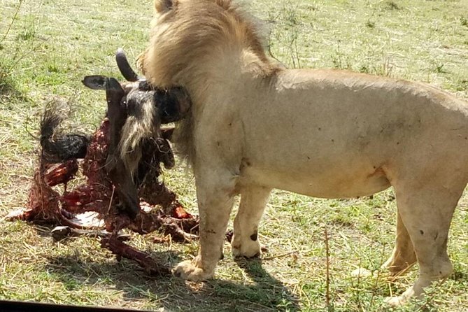 5 Days Kenya Adventurous Safari