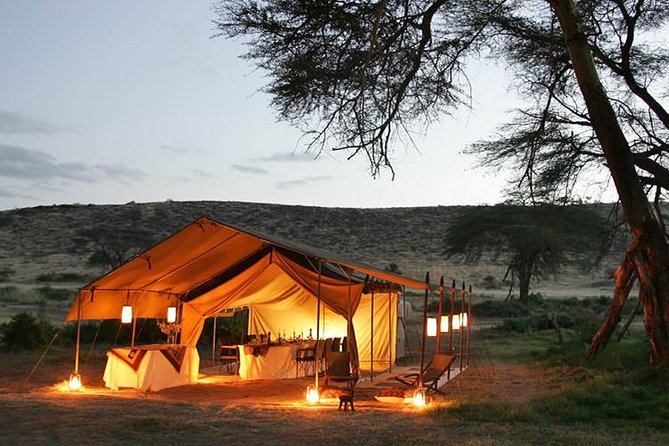 5 Days Kenya Budget Camping Safari Package - Wildlife Encounters