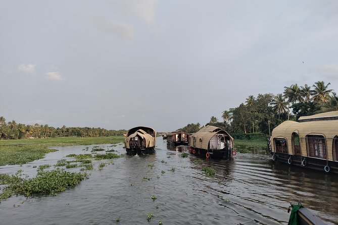 5 Days Kerala Private Premium Tour - Tour Highlights