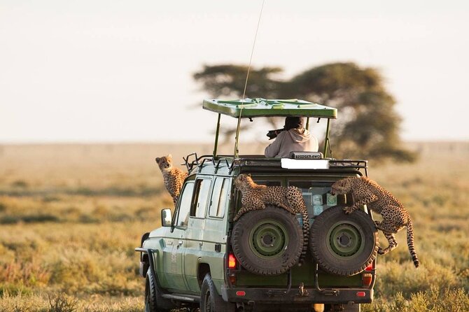 5 Days Maasai Mara And Riftvalley Lakes Safaris