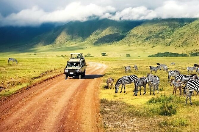 5 Days Mid-Range Lodge Safari To Lake Manyara , Serengeti & Ngorongoro. - Accommodation Details