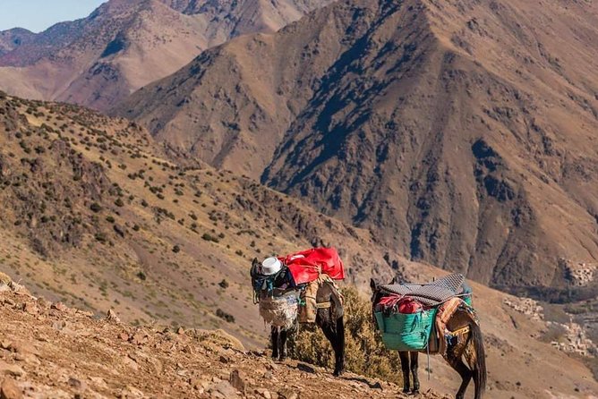 5-Days Private Atlas Mountains Trek From Marrakech - Itinerary Overview