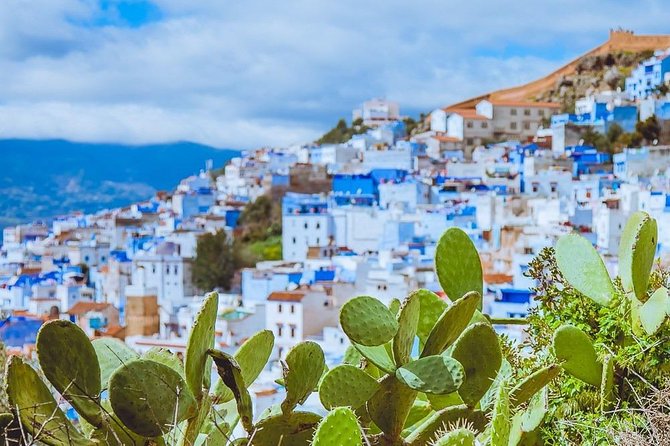 5 Days Private Tour Tangier to Casablanca via Chefchaouen Fes & Rabat - Itinerary Highlights