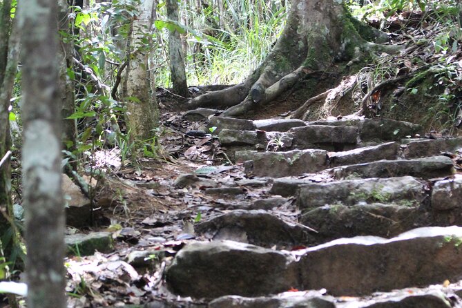 5 Days Private Tour to Lemurs Island - Itinerary Overview