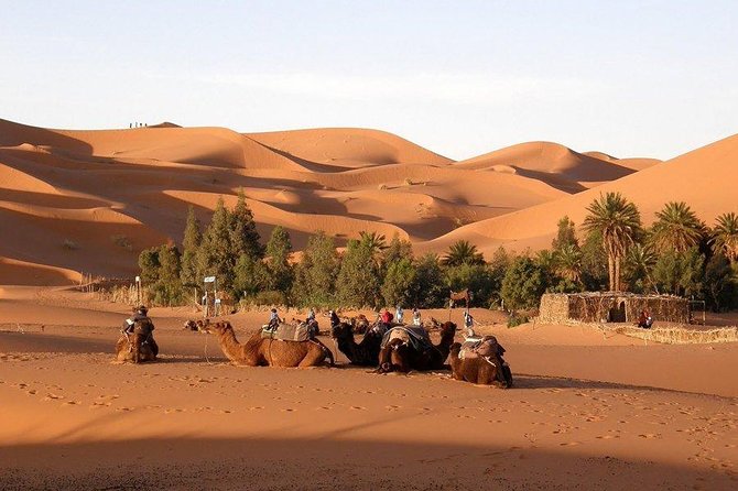 5 Days Private Trip to Sahara Desert - Accommodation Details