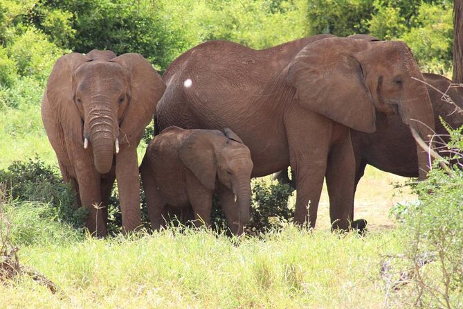 5 Days Safari Masai Mara +Hells Gate/ Lake Naivasha - Pickup and Departure Details