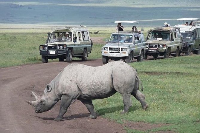 5 Days Safari – SELOUS & ZANZIBAR - Accommodation Details