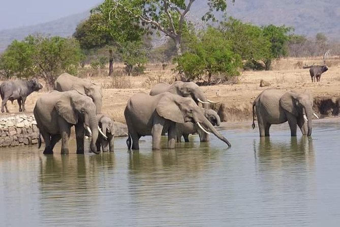 5 Days Selous & Mikumi National Park From Dar Es Salaam / Zanzibar - Accommodation Information