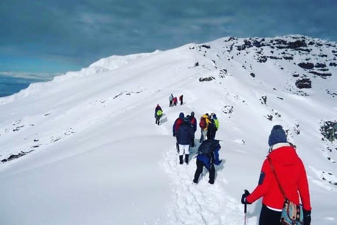 5 Days Trekking Kilimanjaro via Marangu Route - Inclusions and Services Provided